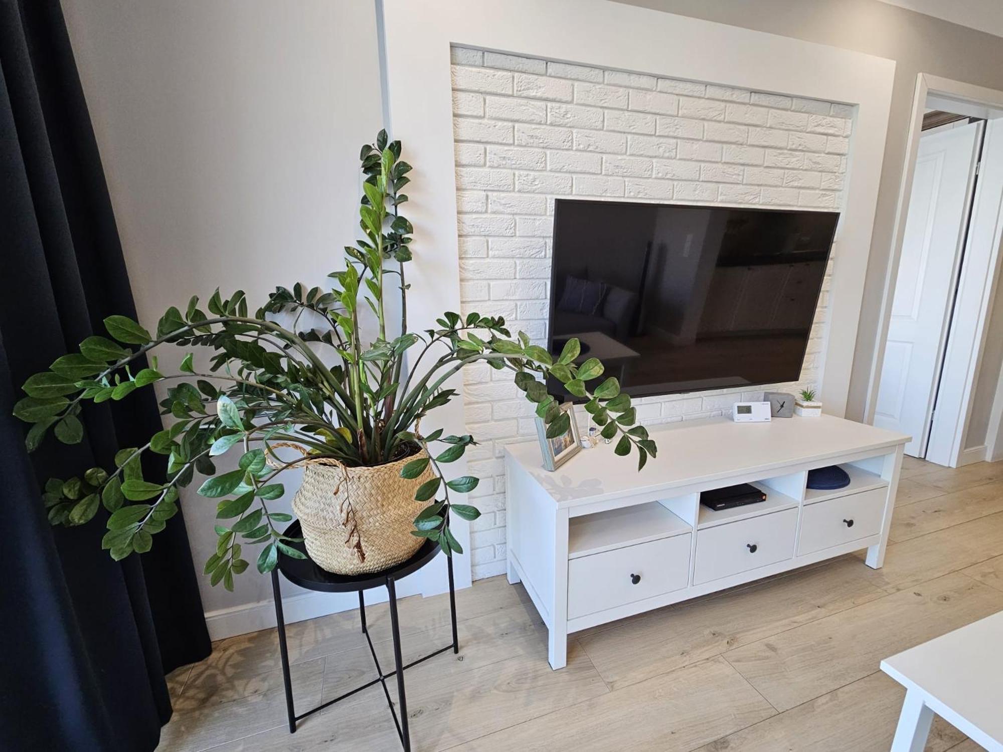 מידזיזדרויה Apartament Capri מראה חיצוני תמונה